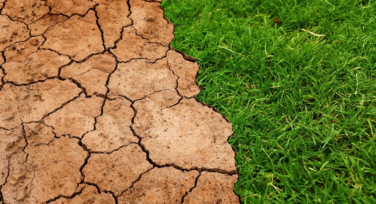 The Impact of Climate Change on Global Biodiversity